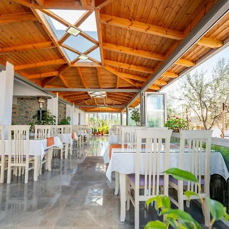 Aleksander Pensionat