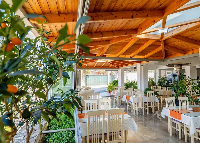 Aleksander Pensionat 3*