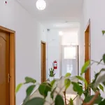 Aleksander 3*